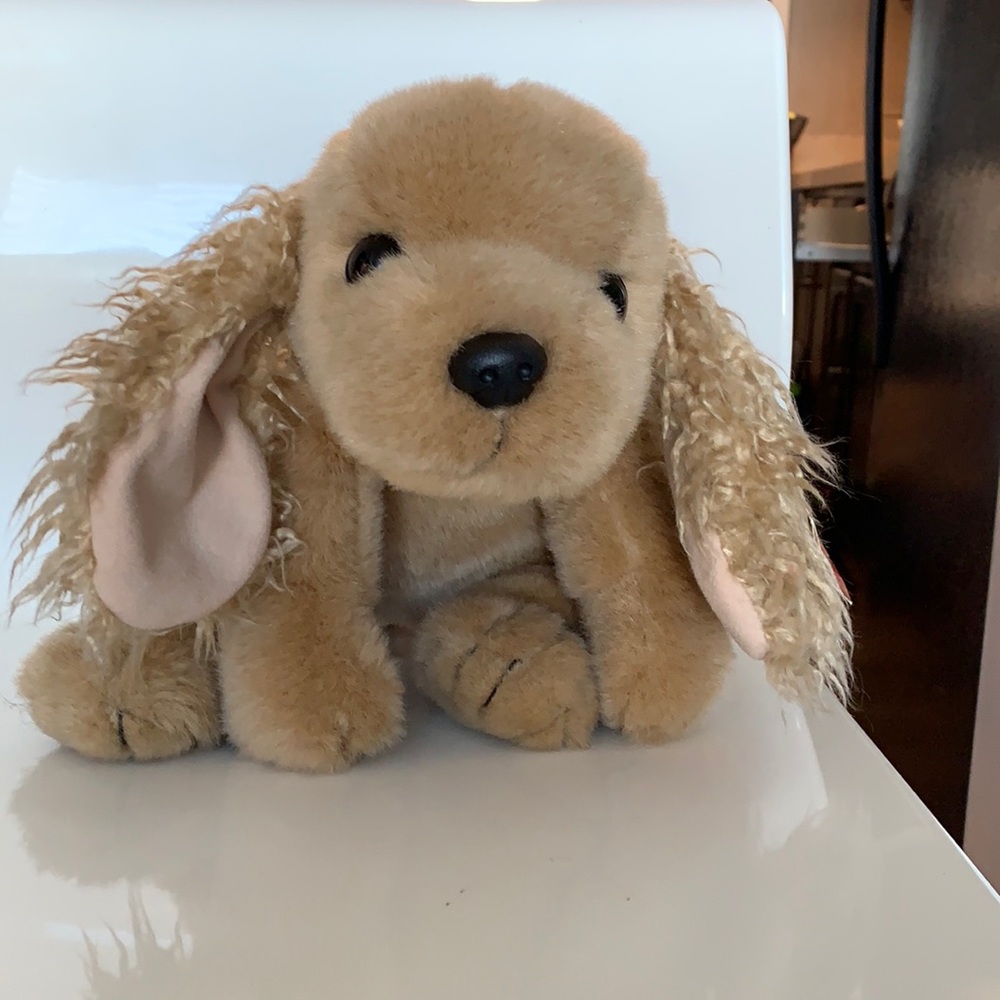 Ty Beanie Baby.